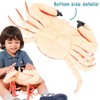 Cora The Crab - 19 Inch Stuffed Animal Plush - By Viahart - 3 of 4