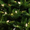 Nearly Natural 7' Pre-Lit Artificial Luxembourg Pine Christmas Tree with 340 Multicolored Bulb LED Lights - 2 of 4