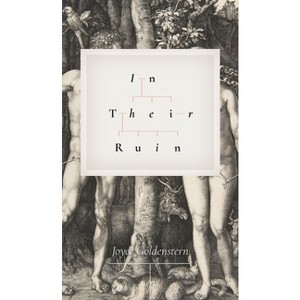 In Their Ruin - by  Joyce Goldenstern (Paperback) - 1 of 1