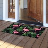 Briarwood Lane Summer Coir Doormat 30x18 Flamingos and Leaves For Summer Coir Doormat - 2 of 3