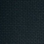 houston texans