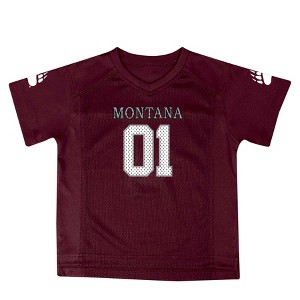 NCAA Montana Grizzlies Toddler Boys' Jersey - 1 of 3