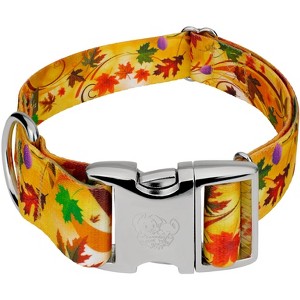 Country Brook Petz 1 1/2 Inch Premium Dog Collar - Awesome Autumn Collection - 1 of 4