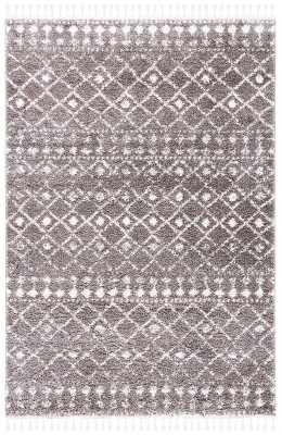 Berber Fringe Shag BFG519 Power Loomed Rug - Safavieh