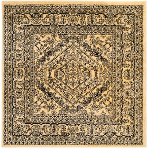 Adirondack ADR108 Non-Shedding Power Loomed Indoor Rugs - Safavieh - 1 of 4