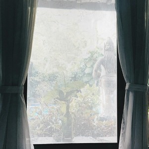 Unique Bargains Vine Pattern Window Privacy Film 118.11"L x 17.72"W Clear 1 Pc - 1 of 4