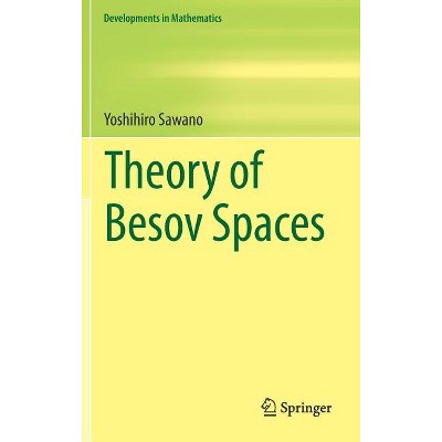 Theory of Besov Spaces - (Developments in Mathematics) by  Yoshihiro Sawano (Hardcover)