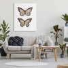 Stupell Industries Butterfly Wings Insect Portrait Canvas Wall Art - 2 of 4