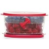 Progressive Berry Keeper – Produce Saver Container with Adjustable Vent, Colander Tray & Lid for Strawberries, Blueberries & More - 4 of 4