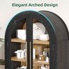 MAYEERTY 63 Tall Arched Storage Cabinet 5 Tier Glass Rattan Door Black - 4 of 4