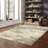 Oriental Weavers Carson 0734D Beige/ Grey Indoor Area Rug - 6'7" x 9'2" - 2 of 4