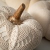 6.25"H  6.25"H & 7.75"H Sullivans Boho Cream Plush Pumpkin Set of 3  Cream - 2 of 4