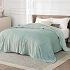 Cozy Comfort by Bedsure | Flannel Blanket Solid 260GSM Soft Fuzzy Plush Bed Blanket - 2 of 4
