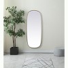 Elegant Lighting Metal Frame Oval Mirror 24x60 Inch in Brass - image 2 of 4