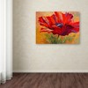 Trademark Fine Art -Marion Rose 'Red Poppy II' Canvas Art - 3 of 3