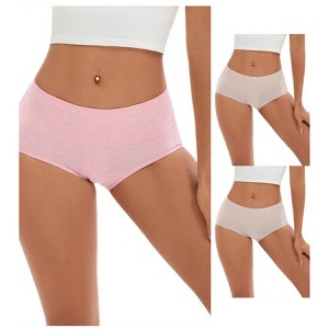 INSPIRE CHIC 3 Pcs Women's Plus Size High Waist Tummy Control Briefs Butt Lifter Control Panties - 1 of 4