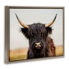 Stupell Industries Black Highland Cow Portrait, 21" x 17" - 3 of 4