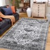 Area Rug, Washable Vintage Oriental Rug - Stain-Resistant Low Pile Non Slip Carpet for Living Room, Bedroom, Farmhouse, Office - 2 of 4