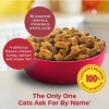 Meow Mix Hairball Control with Flavors of Chicken, Turkey , Salmon & Ocean Fish Adult Complete & Balanced Dry Cat Food - 6.3lbs - 3 of 4