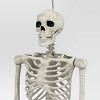 15.5" Poseable Bone Skeleton Halloween Decorative Prop Off-White - Hyde and EEK! Boutique™ - 3 of 3