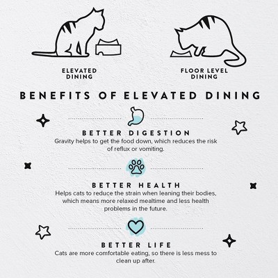 Aruba Blue Elevated Cat Feeder with Non-Slip Base