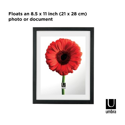 Classic Black Wood Floating Wall Frame for Certificates