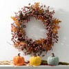 42"H Sullivans Artificial Fall Amaranthus Hanging Stem Set of 3, Multicolor, Indoor Fall Decor - 3 of 4