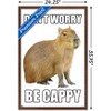 Trends International Capybara - Be Cappy Framed Wall Poster Prints - 3 of 4