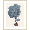 Amanti Art Indigo Reef IV by Melissa Wang Framed Wall Art Print - 4 of 4