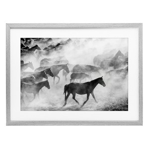 Stupell Industries Dusty Road Horse Photograph Framed Print Under Glass Art - 1 of 4