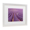 Trademark Fine Art - Massimo Della Latta Violet Matted Framed Art - 3 of 4