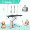 43.6" Heavy Duty Hydraulic Pet Grooming Table for All Size Dogs – Professional Adjustable (22"-39" H) Grooming Station, Non-Slip, 350LB - 3 of 4