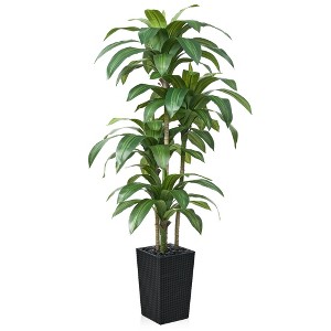5-6ft UV & Sunproof Artificial Dracaena Tree for Indoor/Outdoor - Faux Silk Plant in Tall Planter, Tall Faux Tree for Home & Garden Decor - 1 of 4