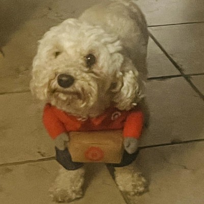 Guest review image 1 of 1, zoom in