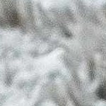 light gray, gray, taupe, medium gray, dark purple