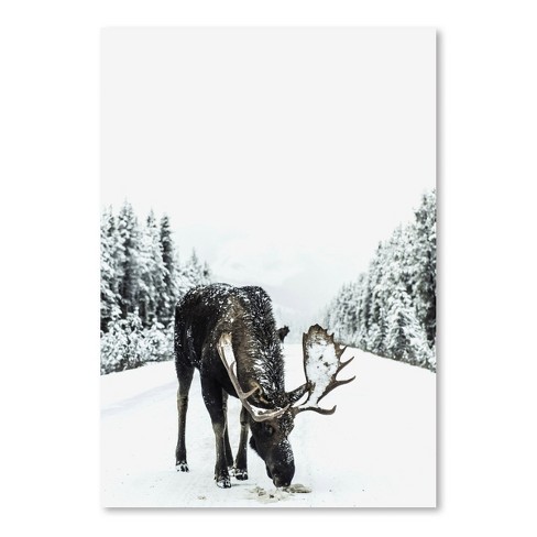 Americanflat - Moose By Tanya Shumkina - 8
