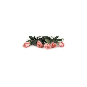 Great Papers! Pink Rose Petals Letterhead Multicolor 80/Pack (2013192) - 1 of 3