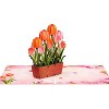 Frndly by Paper Love 3D Tulip Plant Pop Up Card, For All Occasion - Handcrafted 100% Recycled and Eco-Friendly, 8" x 6" Cover - 4 of 4