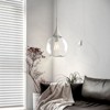 KAISITE 1 - Light Black Single Pendant Light With Globe Clear Glass - 3 of 4