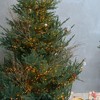 Northlight Artificial Glittered Christmas Twig Spray with Jingle Bells - 36" - Gold and Silver - 3 of 3