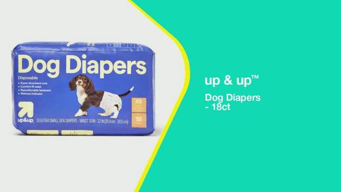 Dog Diapers - 18ct - up & up™, 2 of 8, play video