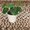Braided Area Rug with Non-Slip Backing, Modern Accent Carpet for Bedroom, Living Room, Dining Room & Hallway, Foldable Low Pile Throw Rug - 3 of 4