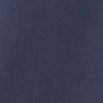 indigo dusty blue
