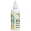 Wilton Green Cookie Icing, 7.5 oz (Pack of 2) - 2 of 4