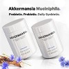 Codeage Akkermansia Muciniphila 100 Million AFU, Daily Synbiotic, Probiotic, Prebiotic, Chicory Inulin - 90ct - 4 of 4