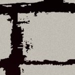 tampa bay buccaneers