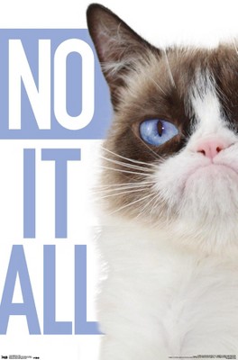 Trends International Grumpy Cat - Blue Framed Wall Poster Prints