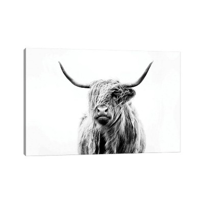 32 x 48 x 1.5 Portrait of A Highland Cow by Dorit Fuhg Unframed Wall  Canvas - iCanvas