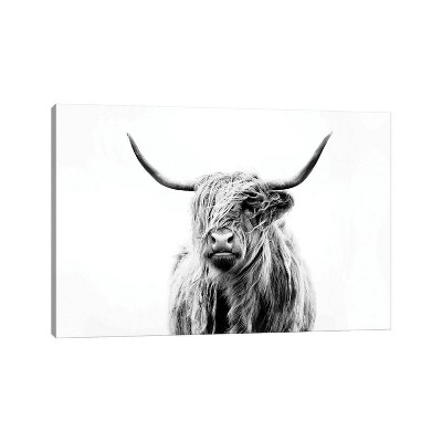 Portrait Of A Highland Cow By Dorit Fuhg Unframed Wall Canvas