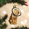 Old World Christmas Glass Blown Ornament for Christmas Tree, Cone of Shame Dog - 4 of 4